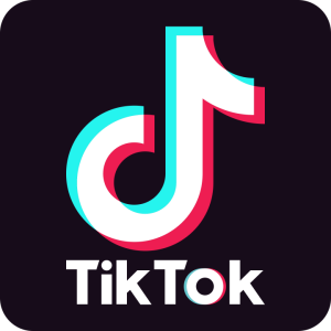 Verified TikTok Accounts for sale
